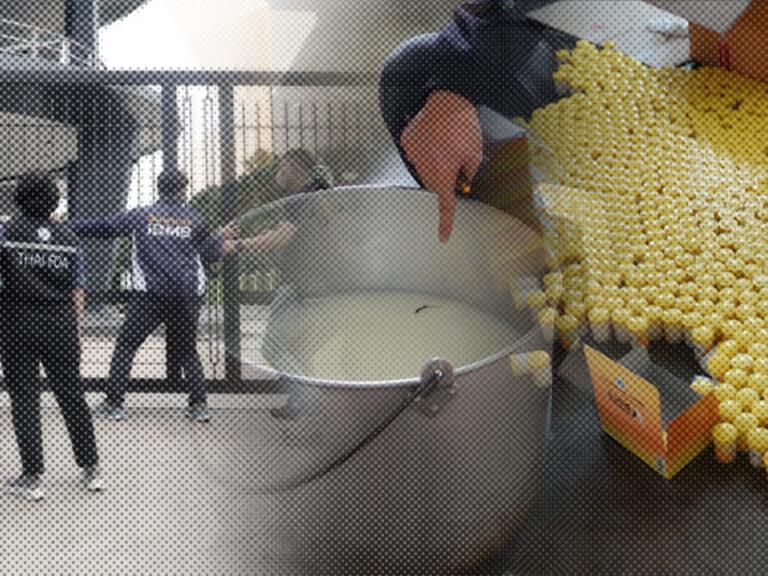 บุกทลายโรงงานเถื่อน พบจิ้งจกตายคาหม้อ