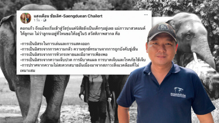 ย้าย “พลายดอกแก้ว” ไม่จบวันนี้ รอ 1 เดือน ประเมินใหม่