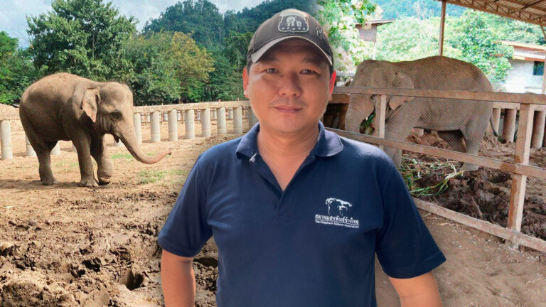 คิวต่อไป “ย้ายพลายขุนเดช” คาดง่ายกว่า “พลายดอกแก้ว”