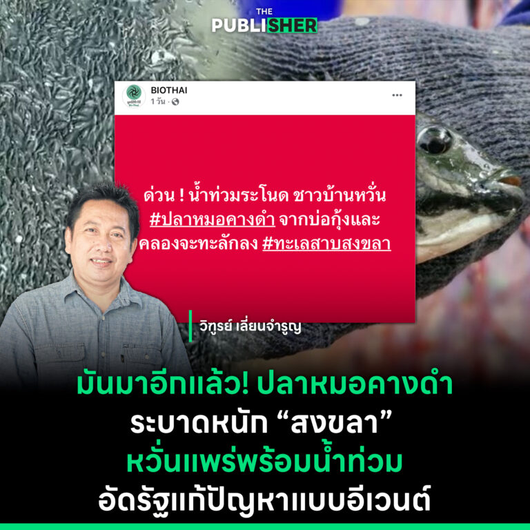 มันมาอีกแล้ว ! ปลาหมอคางดำระบาดหนัก “สงขลา” หวั่นแพร่พร้อมน้ำท่วม อัดรัฐแก้ปัญหาแบบอีเวนต์