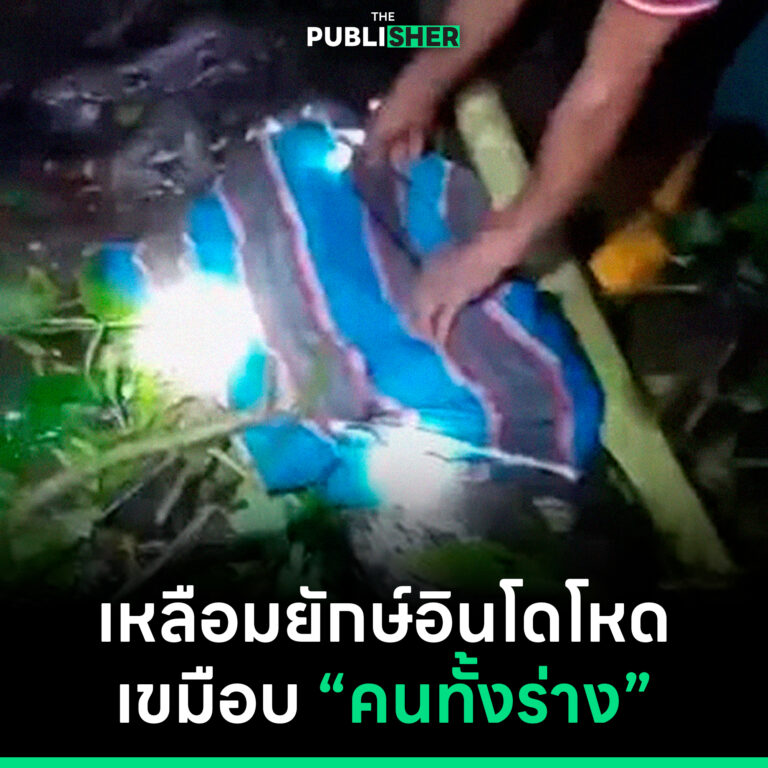 เหลือมยักษ์อินโดโหด เขมือบ “คนทั้งร่าง”