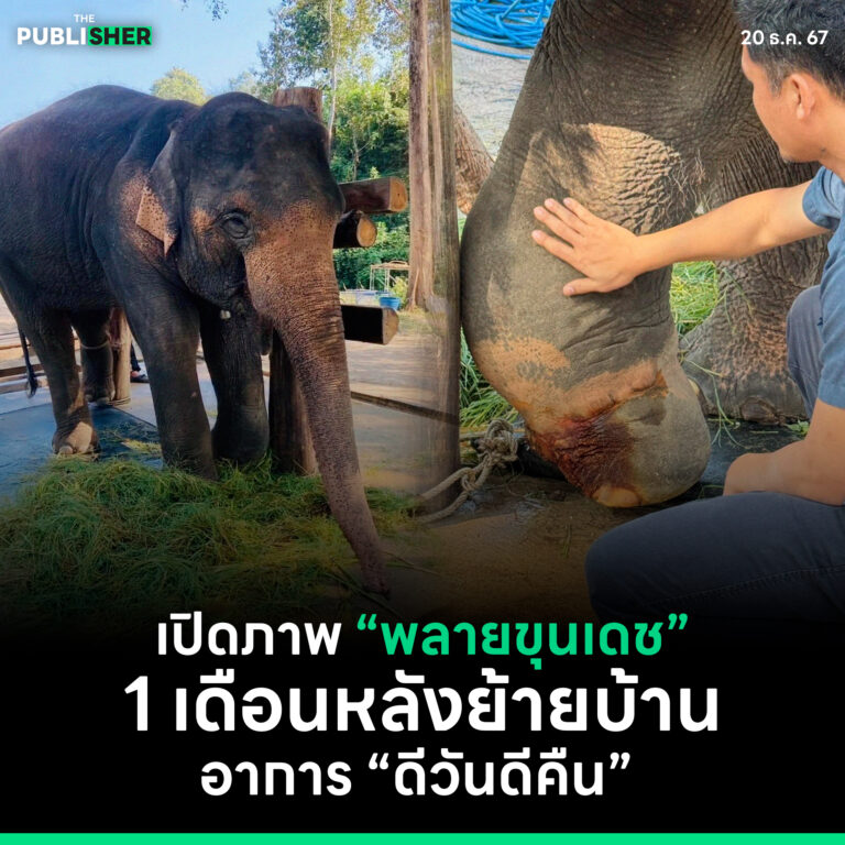 เปิดภาพ “พลายขุนเดช” 1 เดือนหลังย้ายบ้าน อาการ “ดีวันดีคืน”