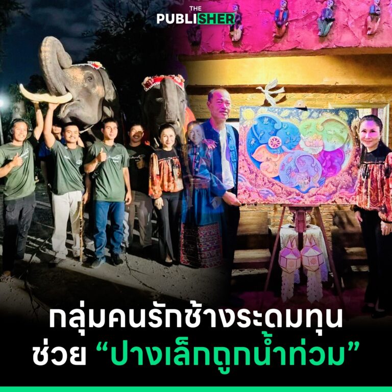 กลุ่มคนรักช้างระดมทุน ช่วย “ปางเล็กถูกน้ำท่วม”
