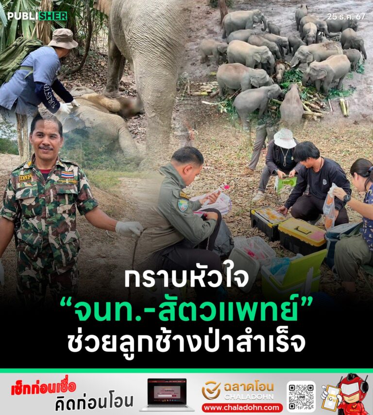 กราบหัวใจ จนท.-สัตวแพทย์ ช่วยลูกช้างป่าสำเร็จ
