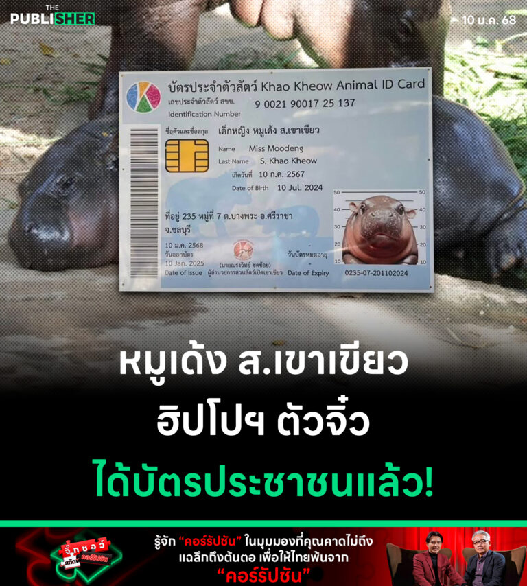 “หมูเด้ง ส.เขาเขียว” ฮิปโปฯ ตัวจิ๋ว ได้บัตรประชาชนแล้ว!