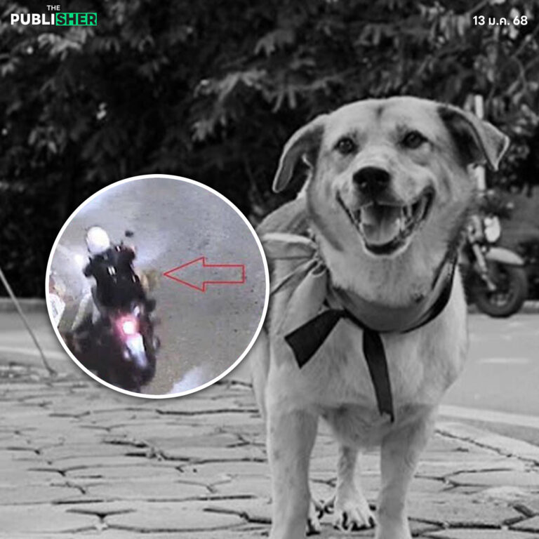 หลับให้สบายนะ “เตี้ย มช.” ศาลอุทธรณ์สั่ง คุก 16 เดือน มืออุ้มใจเหี้ยม