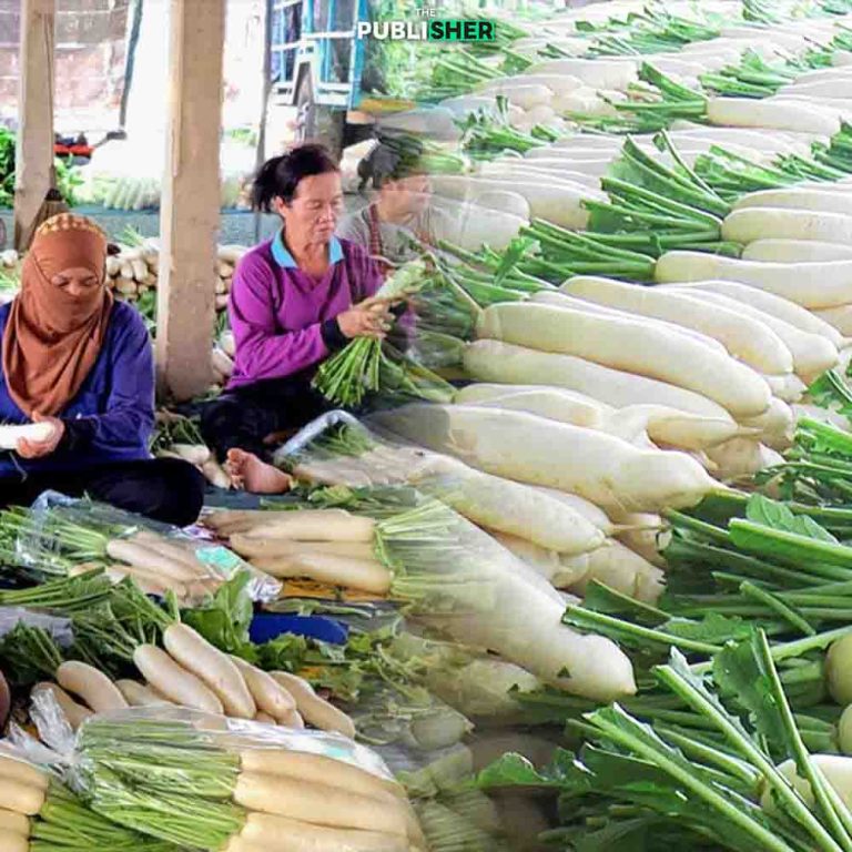 จากเงินหมื่น…สู่เงินแสน หัวไชเท้านิคมลพบุรี แค่เปลี่ยนวิธีคิด…ชีวิตดีขึ้น