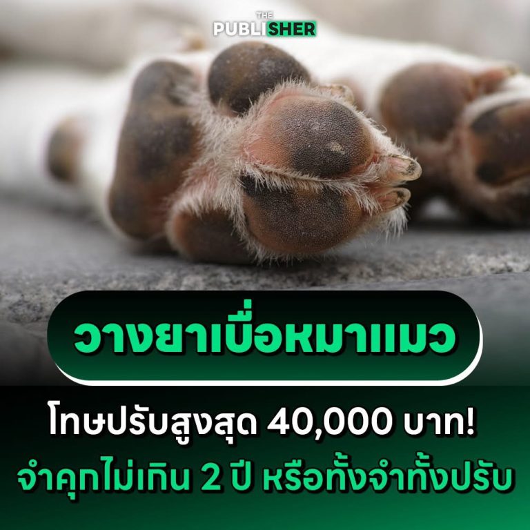 วางยาเบื่อหมาแมว โทษปรับสูงสุด 40,000 บาท! จำคุกไม่เกิน 2 ปี หรือทั้งจำทั้งปรับ